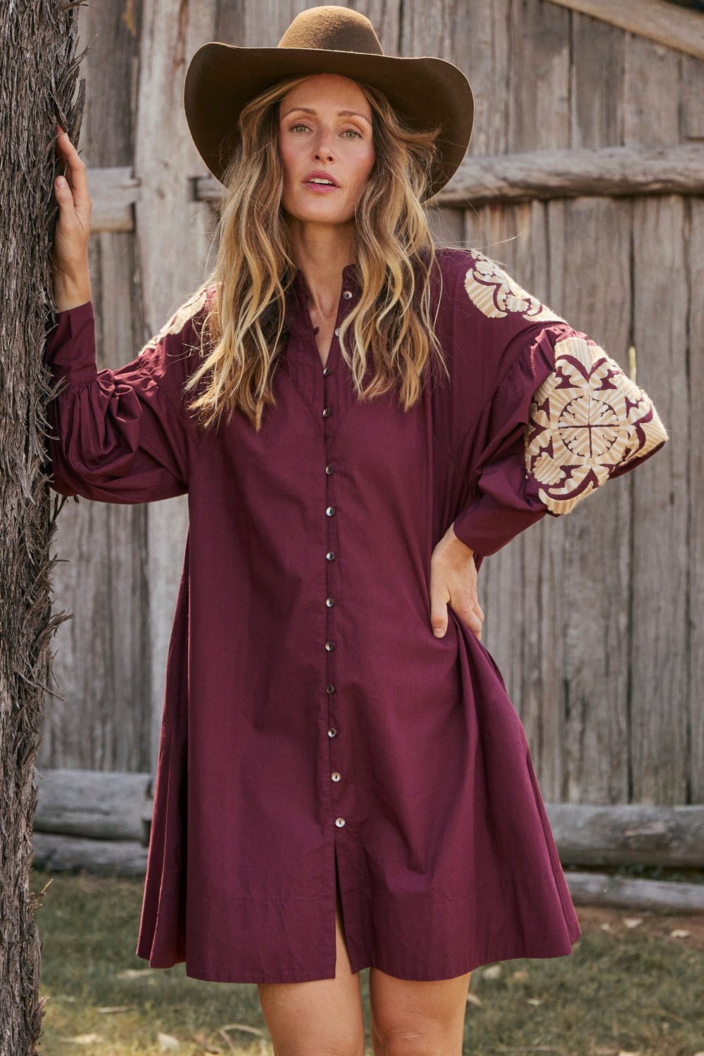 Trinny Embroidered Dress in Burgundy Reverie