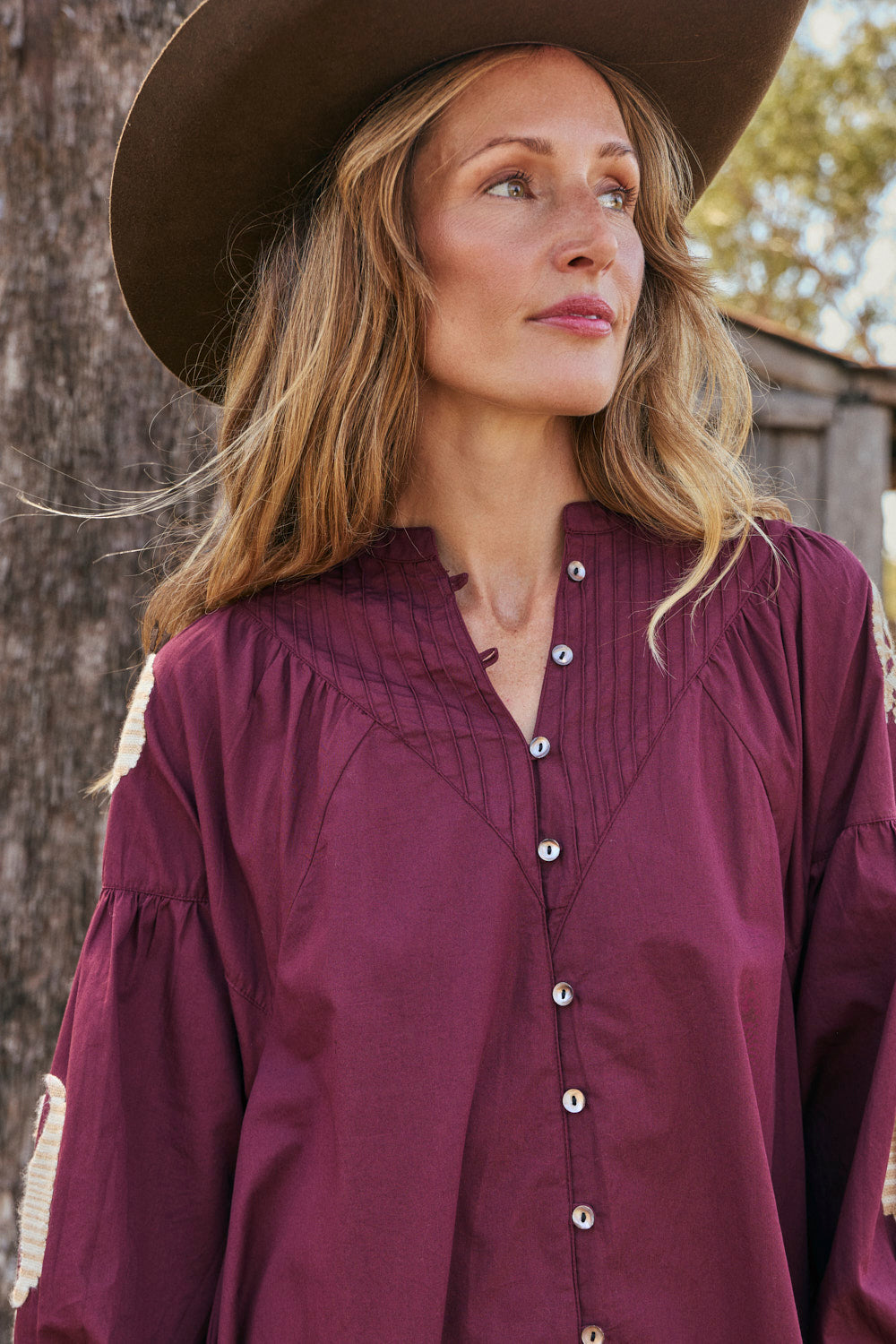 Trinny Embroidered Dress in Burgundy Reverie